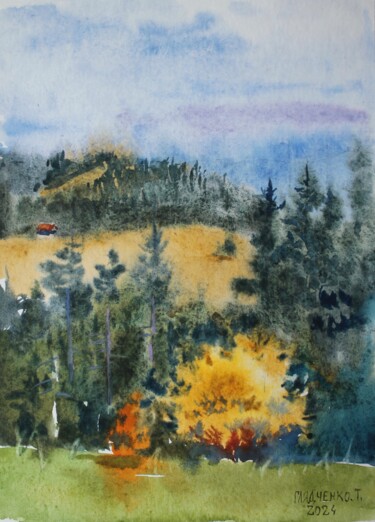 Pintura titulada "Carpathian Mountains" por Tatiana Gliadchenko, Obra de arte original, Acuarela