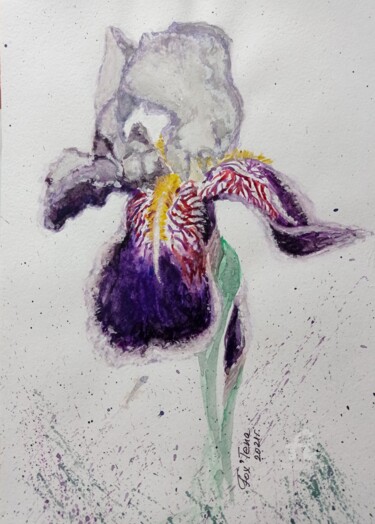 Dessin intitulée "Iris" par Tatiana Fox'Tena, Œuvre d'art originale, Aquarelle