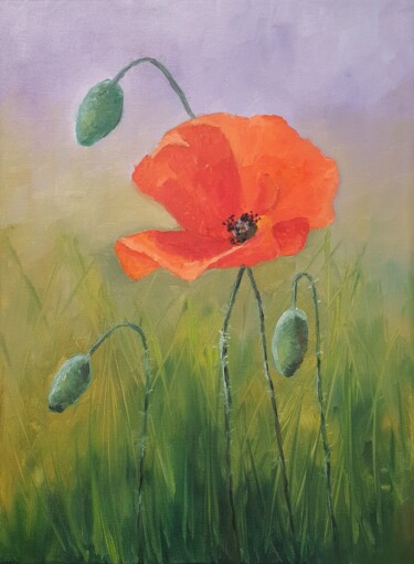 Картина под названием "Poppy flower" - Tatiana Karchevskaya, Подлинное произведение искусства, Масло
