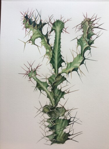 Painting titled "Rhino Thorn Euphorb…" by Tatiana Moskalenko, Original Artwork, Watercolor