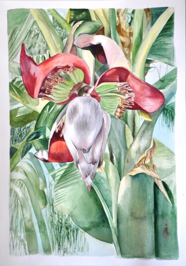 Peinture intitulée "Цветок банана" par Tatiana Moskalenko, Œuvre d'art originale, Aquarelle
