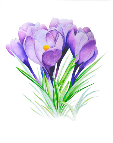 绘画 标题为“Purple Crocuses” 由Tatiana Repesciuc, 原创艺术品, 水彩