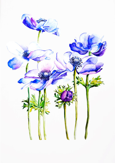 Painting titled "Anemones" by Tatiana Repesciuc, Original Artwork, Watercolor