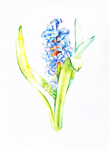 Malerei mit dem Titel "Blue Hyacinth" von Tatiana Repesciuc, Original-Kunstwerk, Aquarell