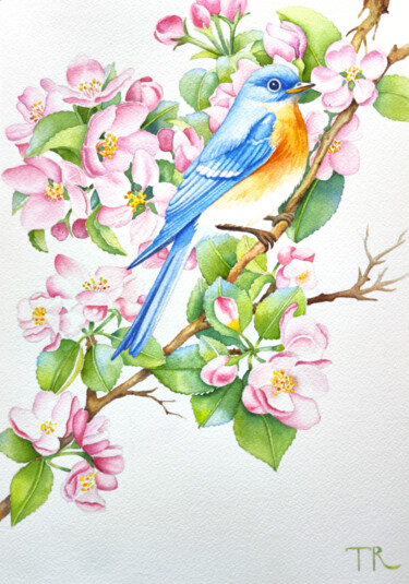 Peinture intitulée "Blue Bird on a Blos…" par Tatiana Repesciuc, Œuvre d'art originale, Aquarelle