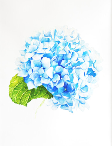 Schilderij getiteld "Blue Hydrangea" door Tatiana Repesciuc, Origineel Kunstwerk, Aquarel