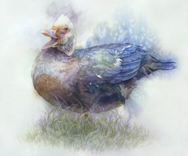 Peinture intitulée "Talking goose" par Tatiana Sereda, Œuvre d'art originale, Aquarelle