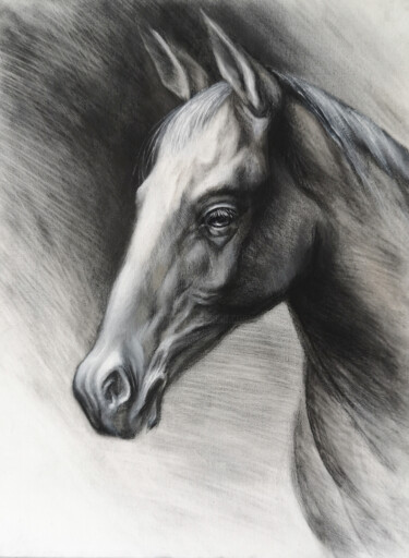 Картина под названием "Horse portrait" - Tatiana Zhuravleva, Подлинное произведение искусства, Масло