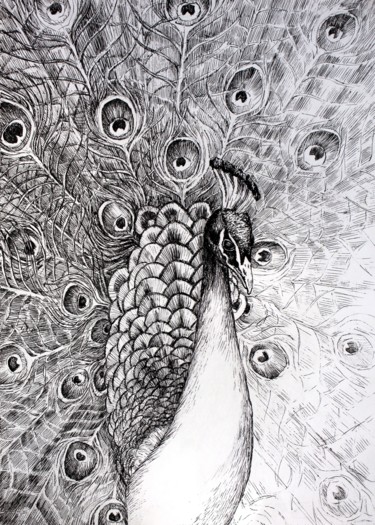 Zeichnungen mit dem Titel "Peacock" von Tatiana Stadnyk, Original-Kunstwerk, Kugelschreiber