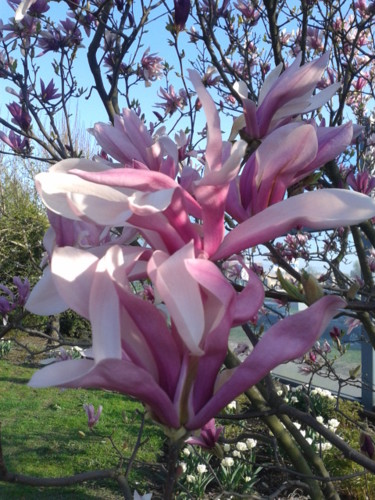 Фотография под названием "Spring in London.Ве…" - Tatjana Barova, Подлинное произведение искусства