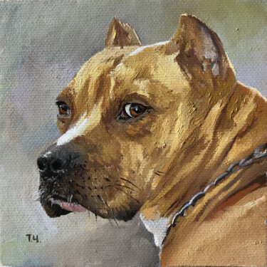 Schilderij getiteld "Miniature "Pit bull"" door Tatjana Cechun, Origineel Kunstwerk, Olie