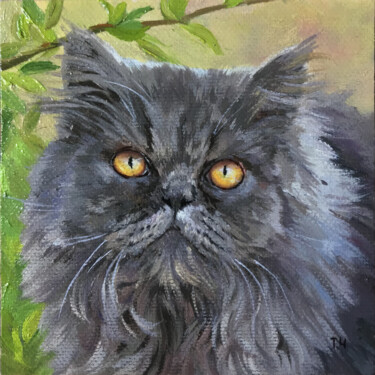 Painting titled "Persian gray cat" by Tatjana Cechun, Original Artwork, Oil