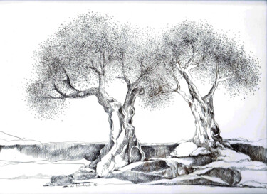 Drawing titled "Olivenbäume" by Tatjana M. Pankau, Original Artwork, Silverpoint