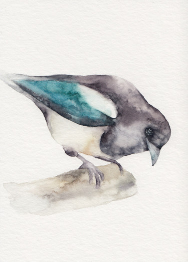 Elster Vogel, Original Aquarell Malerei mit dem Titel "Elster Vogel, Origi…" von Tatjanasarts, Original-Kunstwerk, Aquarell