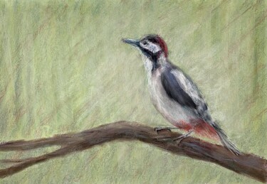 Malerei mit dem Titel "WOODPECKER-  bird,…" von Tatsiana Ilyina, Original-Kunstwerk, Pastell