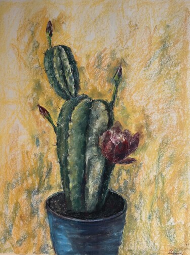 Drawing titled "CACTUS WITH A RED F…" by Tatsiana Ilyina, Original Artwork, Pastel