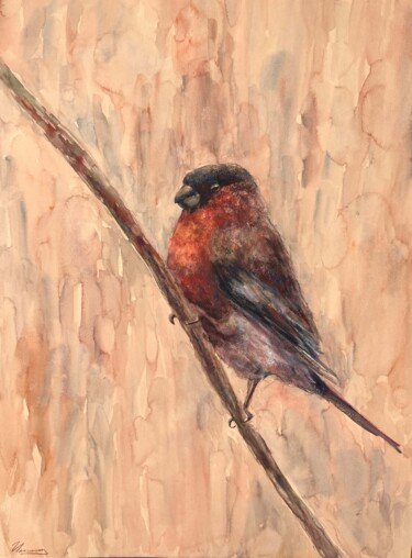 Pintura intitulada "BULLFINCH-  bird, r…" por Tatsiana Ilyina, Obras de arte originais, Pastel