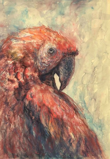 Pintura titulada "RED PARROT- animal,…" por Tatsiana Ilyina, Obra de arte original, Pastel