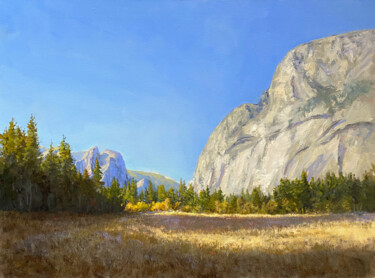 Painting titled "Yosemite Valley Fal…" by Tatyana Fogarty, Original Artwork, Oil