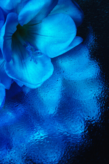 Photographie intitulée "Blue mood" par Tatyana Laer, Œuvre d'art originale, Photographie numérique