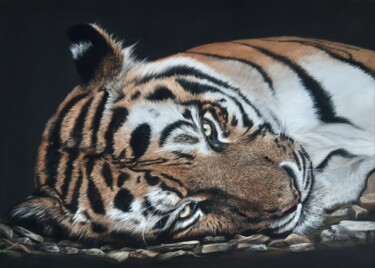 Drawing titled "Tiger" by Tatyana Lukanenko, Original Artwork, Pastel