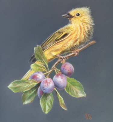 Peinture intitulée "Bird on a plum bran…" par Tatyana Lukanenko, Œuvre d'art originale, Pastel