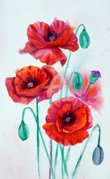Картина под названием "Red poppies" - Tatyana Pustovit, Подлинное произведение искусства, Акварель