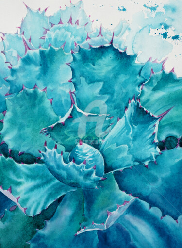 Картина под названием "succulents" - Tatyana Pustovit, Подлинное произведение искусства, Акварель