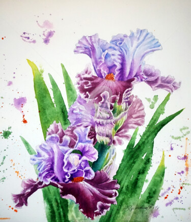 Рисунок под названием "Purple irises water…" - Tatyana Pustovit, Подлинное произведение искусства, Акварель