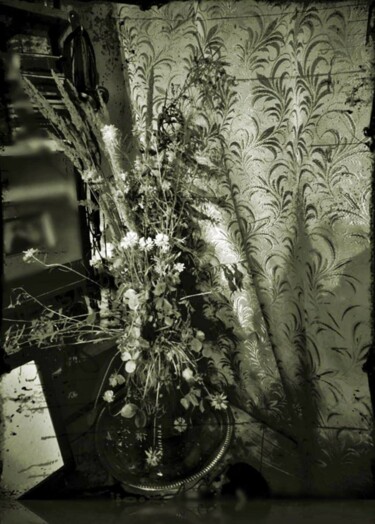 Фотография под названием "Полевые цветы в дра…" - Tatyana Zakharova, Подлинное произведение искусства, Цифровая фотография