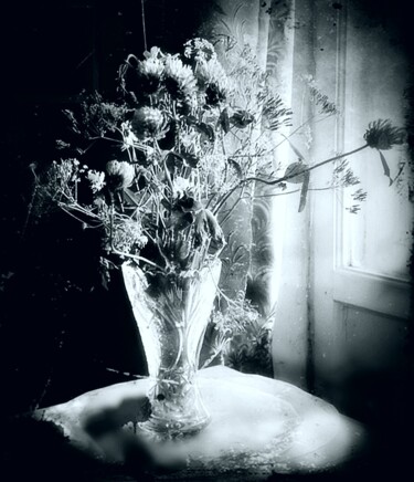 Photographie intitulée "Полевые цветы 3" par Tatyana Zakharova, Œuvre d'art originale, Photographie numérique
