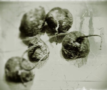 Фотография под названием "Забытые овощи" - Tatyana Zakharova, Подлинное произведение искусства, Цифровая фотография