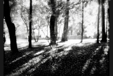Photographie intitulée "Вечерний свет" par Tatyana Zakharova, Œuvre d'art originale, Photographie numérique
