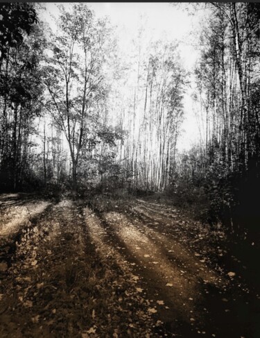 Фотография под названием "Поздняя осень" - Tatyana Zakharova, Подлинное произведение искусства, Цифровая фотография