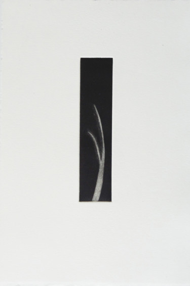 Impressões e gravuras intitulada "-phore" por Lucile Taupin, Obras de arte originais, Gravação