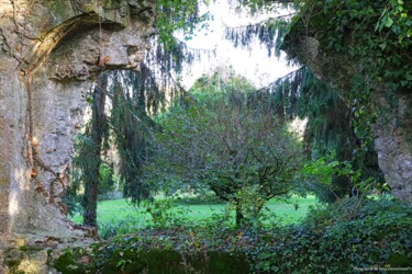 Fotografia intitolato "Vue sur le jardin" da Tc.Photographie, Opera d'arte originale, Fotografia digitale