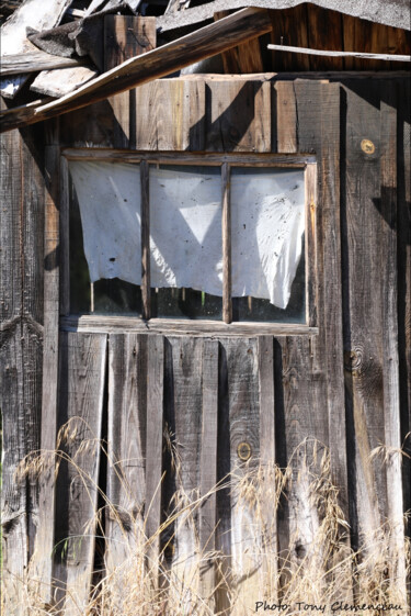 Fotografia zatytułowany „Vieille cabane en b…” autorstwa Tc.Photographie, Oryginalna praca, Fotografia cyfrowa