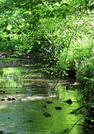 Photographie intitulée "PAYSAGE ET REFLETS…" par Tc.Photographie, Œuvre d'art originale, Photographie numérique