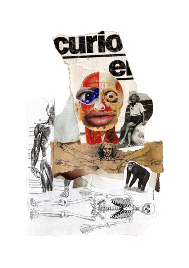 「Tirando o Einstein,…」というタイトルのコラージュ Tchago Martinsによって, オリジナルのアートワーク, コラージュ 段ボールにマウント