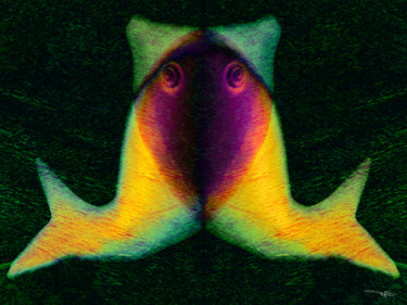 Arts numériques intitulée "CAT&FISH" par Tegas, Œuvre d'art originale