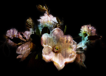 Digitale Kunst getiteld "Tehos - White Flowe…" door Tehos, Origineel Kunstwerk, Anders