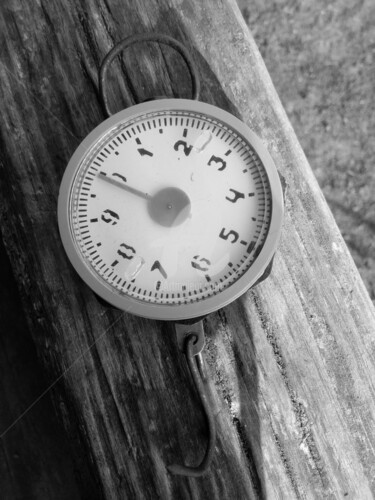 Photographie intitulée "Old scales" par Temo D, Œuvre d'art originale, Photographie numérique