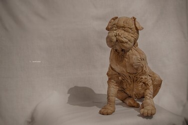 Sculpture titled "sitting dog" by Teodora Sarbinska, Original Artwork, Fabric