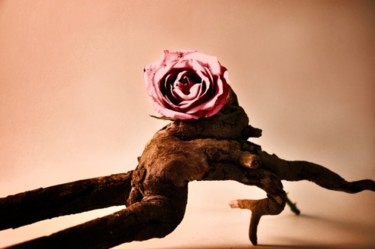 Fotografia intitolato "rose" da Loreta Teodorova, Opera d'arte originale