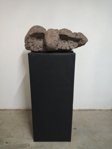 雕塑 标题为“Un búho” 由Teófilo Reyes, 原创艺术品, 石
