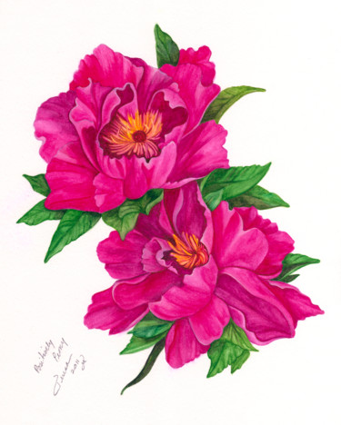 Painting titled "Positively Peony.jpg" by Teresa Freedom, Original Artwork, Watercolor