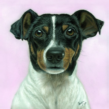 Рисунок под названием "Dog" - Teresa Payne Art, Подлинное произведение искусства, Пастель Установлен на Другая жесткая панель
