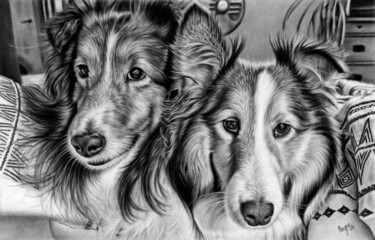 Drawing titled "Blue and Cooper" by Teresa Payne Art, Original Artwork, Charcoal