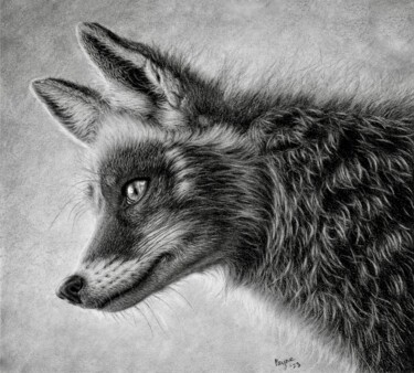Drawing titled "Fox" by Teresa Payne Art, Original Artwork, Charcoal