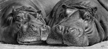 Desenho intitulada "Hippos" por Teresa Payne Art, Obras de arte originais, Carvão
